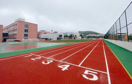 育才小学采用小黄片网址小黄片破解版设备